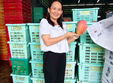 ลงพื้นที่ตรวจเยี่ยมจุดรวบรวมและคัดบรรจุผลผลิตทางการเกษตรของสหกรณ์การเกษตรบ้านโฮ่ง จำกัด ... Image 7