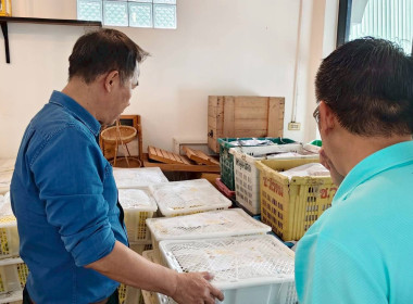 ลงพื้นที่ตรวจเยี่ยมจุดรวบรวมและคัดบรรจุผลผลิตทางการเกษตรของสหกรณ์การเกษตรบ้านโฮ่ง จำกัด ... Image 8