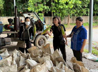 ติดตามการดำเนินงานธุรกิจรวบรวมข้าวโพดของสหกรณ์ ... Image 2