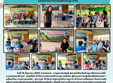 จัดอบรม โครงการส่งเสริมการปลูกพืชผักปลอดภัยชนิดให้ผลผลิตเร็ว Image 9