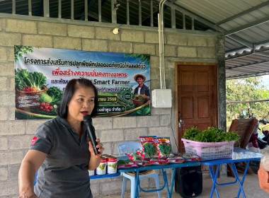 จัดอบรม โครงการส่งเสริมการปลูกพืชผักปลอดภัยชนิดให้ผลผลิตเร็ว Image 1