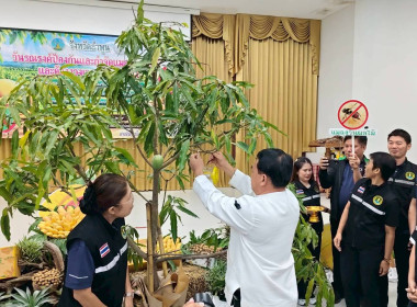 พิธีเปิดงานวันรณรงค์ป้องกันและกำจัดแมลงวันผลไม้ ... Image 10