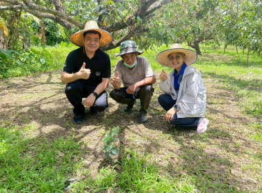 ลงพื้นที่ติดตามผลการดำเนินงานของสมาชิกสหกรณ์การเกษตรเมืองลำพูน จำกัด ... Image 1