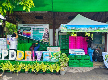 จัดนิทรรศการ CPD DRIVE ... Image 7