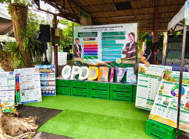 จัดนิทรรศการ CPD DRIVE ... Image 8