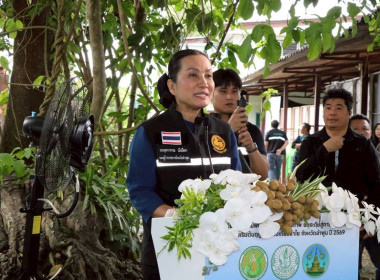 ลงพื้นที่ตรวจราชการและติดตามการบริหารจัดการลำไยจังหวัดลำพูน Image 35