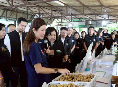 ลงพื้นที่ตรวจราชการและติดตามการบริหารจัดการลำไยจังหวัดลำพูน Image 27