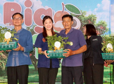 ลงพื้นที่ตรวจราชการและติดตามการบริหารจัดการลำไยจังหวัดลำพูน Image 22