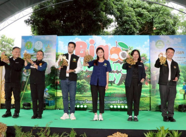 ลงพื้นที่ตรวจราชการและติดตามการบริหารจัดการลำไยจังหวัดลำพูน Image 15