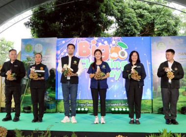 ลงพื้นที่ตรวจราชการและติดตามการบริหารจัดการลำไยจังหวัดลำพูน Image 13