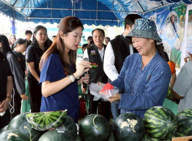 ลงพื้นที่ติดตามการบริหารจัดการน้ำและมอบปัจจัยการผลิตแก่เกษตรกร ... Image 34