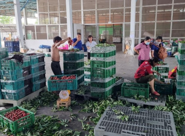 ร่วมให้ข้อมูลความก้าวหน้าการดำเนินงานโครงการยกระดับสถาบันเกษตรกร ... พารามิเตอร์รูปภาพ 9