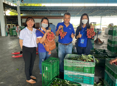 ร่วมให้ข้อมูลความก้าวหน้าการดำเนินงานโครงการยกระดับสถาบันเกษตรกร ... พารามิเตอร์รูปภาพ 5