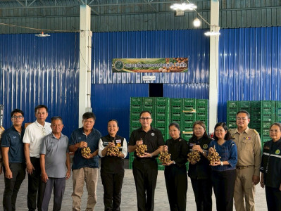 ลงพื้นที่ติดตามสถานการณ์ลำไยในฤดูและจุดรับซื้อลำไยในฤดู ... Image 1