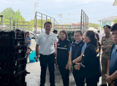 ลงพื้นที่ติดตามสถานการณ์ลำไยในฤดูและจุดรับซื้อลำไยในฤดู ... Image 8
