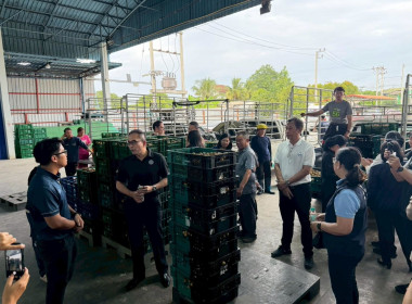 ลงพื้นที่ติดตามสถานการณ์ลำไยในฤดูและจุดรับซื้อลำไยในฤดู ... Image 7