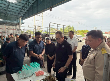 ลงพื้นที่ติดตามสถานการณ์ลำไยในฤดูและจุดรับซื้อลำไยในฤดู ... Image 4