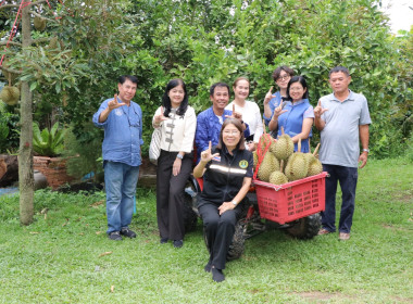 กิจกรรมสร้างการรับรู้และกระตุ้นกระแสการบริโภคทุเรียนจังหวัดลำพูน ... Image 2