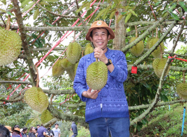 กิจกรรมสร้างการรับรู้และกระตุ้นกระแสการบริโภคทุเรียนจังหวัดลำพูน ... Image 8