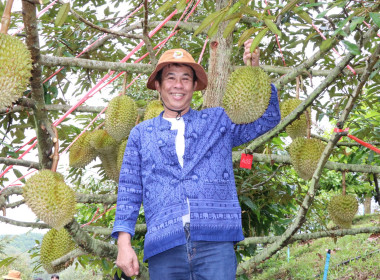 กิจกรรมสร้างการรับรู้และกระตุ้นกระแสการบริโภคทุเรียนจังหวัดลำพูน ... Image 9
