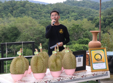 กิจกรรมสร้างการรับรู้และกระตุ้นกระแสการบริโภคทุเรียนจังหวัดลำพูน ... Image 13