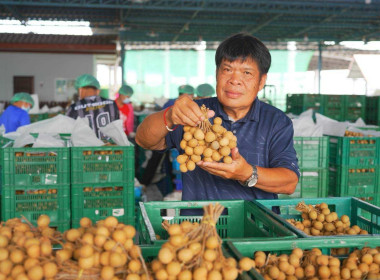 ถ่ายทำพร้อมให้สัมภาษณ์ข้อมูลเกี่ยวกับการดำเนินงานของสหกรณ์ Image 4