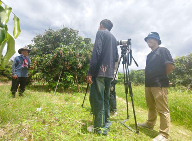 ติดตามการบันทึกเทปถ่ายทำ ... Image 3