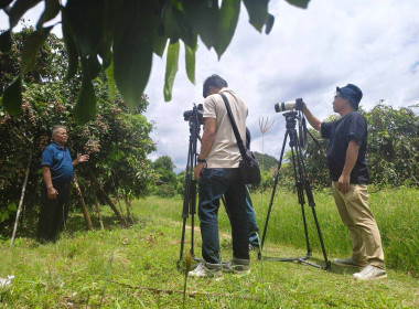 ติดตามการบันทึกเทปถ่ายทำ ... Image 4