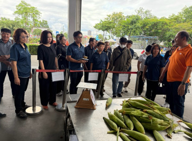 เยี่ยมชมโรงงานผลิตสินค้าเกษตรแปรรูปบริษัท ซันสวีทจำกัด ... Image 3