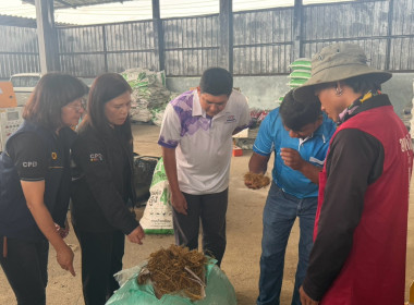 ลงพื้นที่ตรวจเยี่ยมและติดตามการดำเนินงานของสหกรณ์โคนมลำพูน ... Image 8