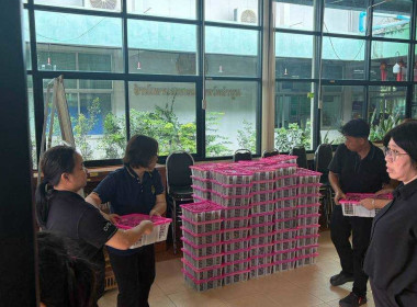 ร่วมกระจายผลผลิต มังคุดของสมาชิกสหกรณ์การเกษตรพรหมคีรี จำกัด Image 10