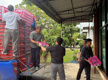 ร่วมกระจายผลผลิต มังคุดของสมาชิกสหกรณ์การเกษตรพรหมคีรี จำกัด Image 3