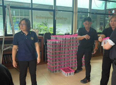 ร่วมกระจายผลผลิต มังคุดของสมาชิกสหกรณ์การเกษตรพรหมคีรี จำกัด Image 7