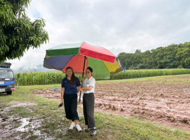 ลงพื้นที่ติดตามผลการดำเนินงานโครงการส่งเสริมการปลูกพืชหลังนา พารามิเตอร์รูปภาพ 5