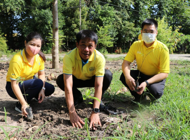 จัดกิจกรรมวันต้นไม้ประจำปีของชาติ พ.ศ. 2566 พารามิเตอร์รูปภาพ 3