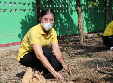 จัดกิจกรรมวันต้นไม้ประจำปีของชาติ พ.ศ. 2566 พารามิเตอร์รูปภาพ 11