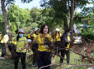 จัดกิจกรรมวันต้นไม้ประจำปีของชาติ พ.ศ. 2566 พารามิเตอร์รูปภาพ 12