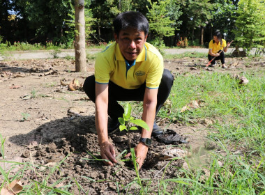 จัดกิจกรรมวันต้นไม้ประจำปีของชาติ พ.ศ. 2566 พารามิเตอร์รูปภาพ 2