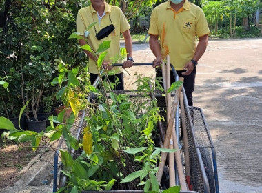 จัดกิจกรรมวันต้นไม้ประจำปีของชาติ พ.ศ. 2566 พารามิเตอร์รูปภาพ 21