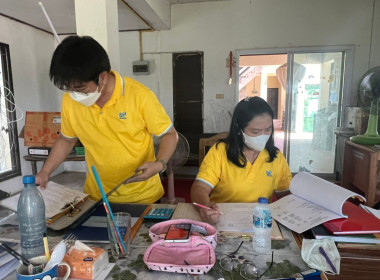 เข้าตรวจสอบกิจการและฐานะการเงิน ... พารามิเตอร์รูปภาพ 2
