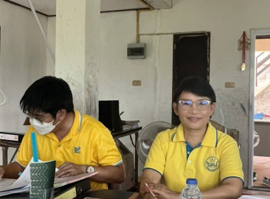 เข้าตรวจสอบกิจการและฐานะการเงิน ... พารามิเตอร์รูปภาพ 4