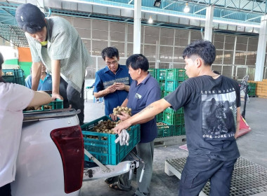 ตรวจเยี่ยมสหกรณ์การเกษตรประตูป่า จำกัด ... พารามิเตอร์รูปภาพ 3