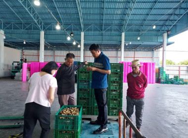 ตรวจเยี่ยมสหกรณ์การเกษตรประตูป่า จำกัด ... พารามิเตอร์รูปภาพ 5
