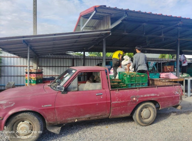 ตรวจเยี่ยมสหกรณ์การเกษตรประตูป่า จำกัด ... พารามิเตอร์รูปภาพ 10