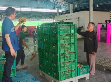 ตรวจเยี่ยมสหกรณ์การเกษตรประตูป่า จำกัด ... พารามิเตอร์รูปภาพ 13
