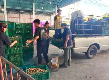 ตรวจเยี่ยมสหกรณ์การเกษตรประตูป่า จำกัด ... พารามิเตอร์รูปภาพ 9