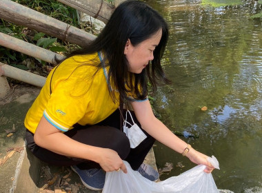 ปล่อยพันธุ์สัตว์น้ำเฉลิมพระเกียรติ ณ ลำน้ำปิงห่าง พารามิเตอร์รูปภาพ 5