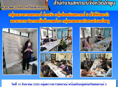 เข้าให้คำแนะนำ ชี้แจง แนวทางในการแก้ไขข้อบกพร่อง ... พารามิเตอร์รูปภาพ 11