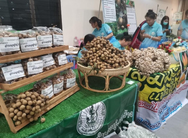 ร่วมจัดนิทรรศการในการอบรมเชิงปฏิบัติการเพื่อยกระดับและเพิ่มมูลค่าแปลงใหญ่จังหวัดลำพูน ... พารามิเตอร์รูปภาพ 11