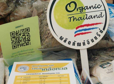 กิจกรรมเจรจาธุรกิจ ... พารามิเตอร์รูปภาพ 5
